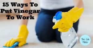 15 Ways To Put Vinegar To Work