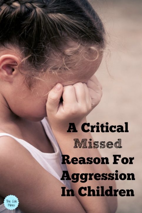 One Critical Missed Reason For Aggression In Children