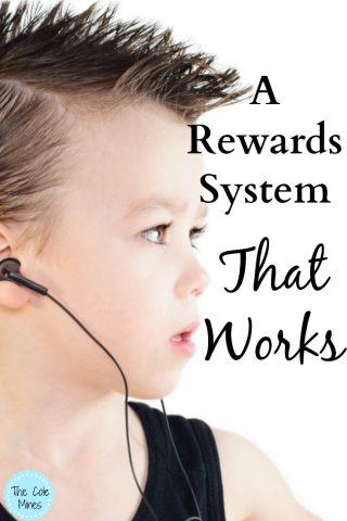 A Rewards System That Works