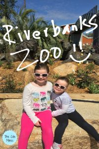why we love the riverbanks zoo