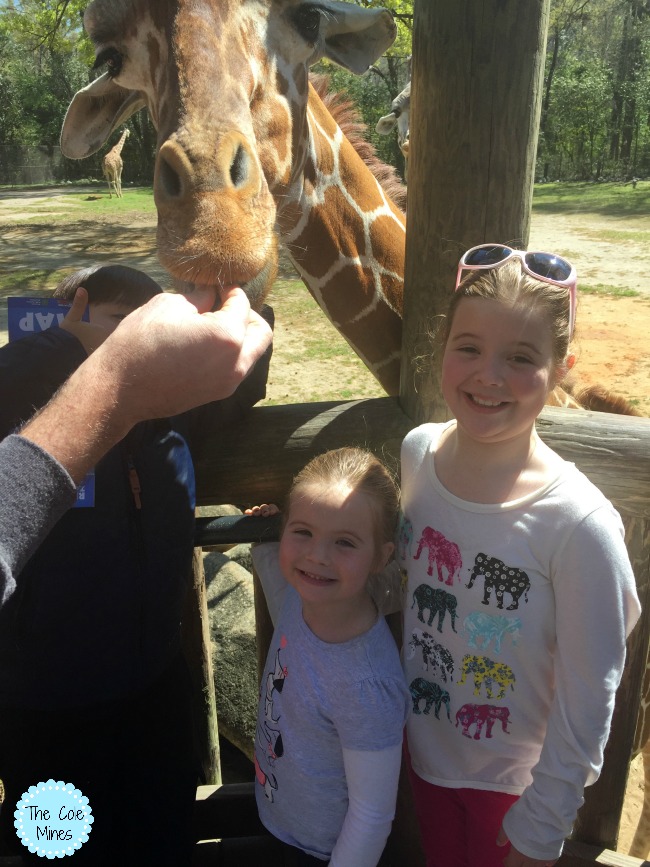 why we love the riverbanks zoo